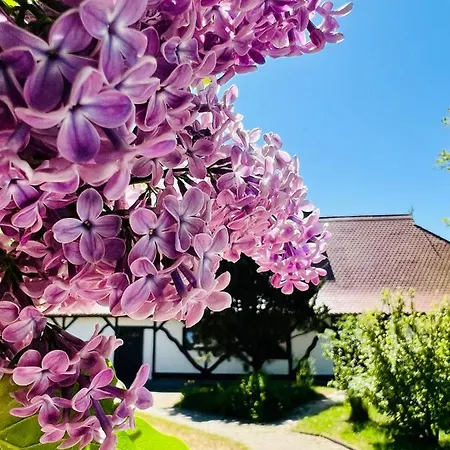 Ferienwohnung Zur Rebe Middelhagen Exterior foto